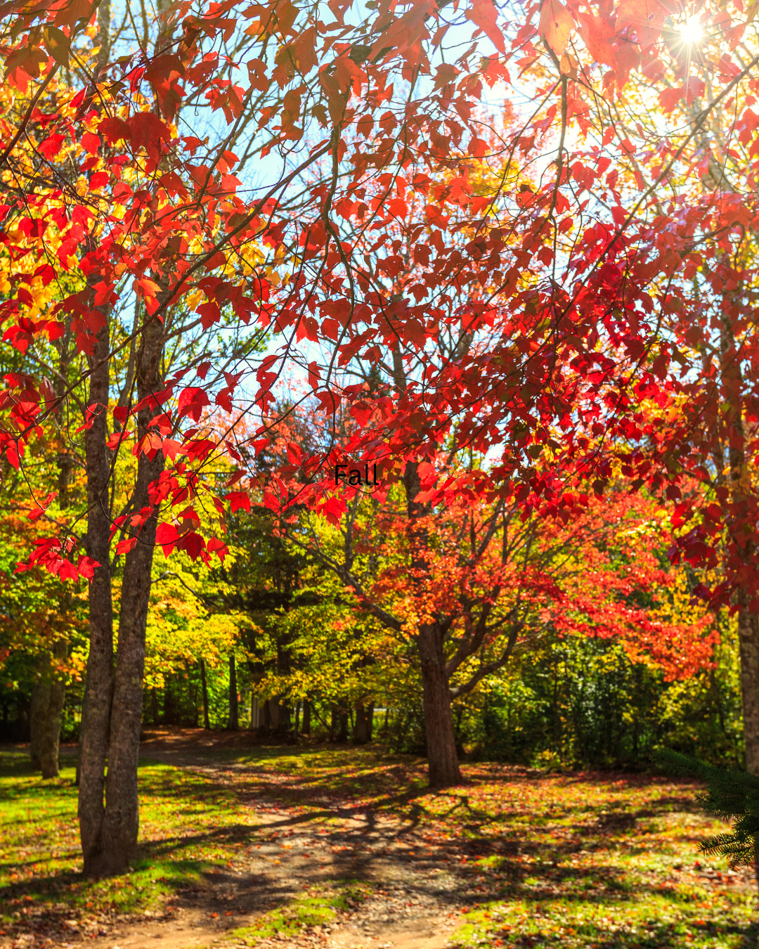 Fall in Love with Your Skin This Season