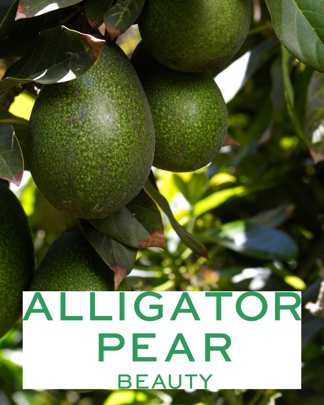 Where Timeless Beauty Begins